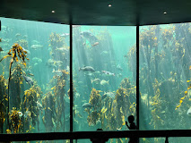 Two Oceans Aquarium