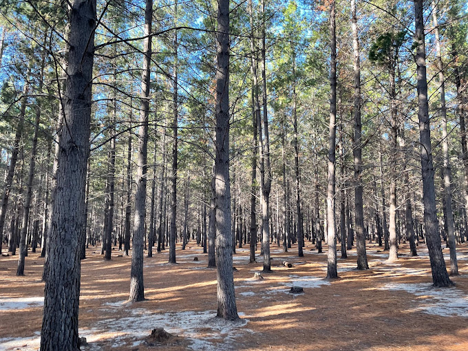 Tokai Park