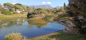 Rondebosch Common Conservation Area