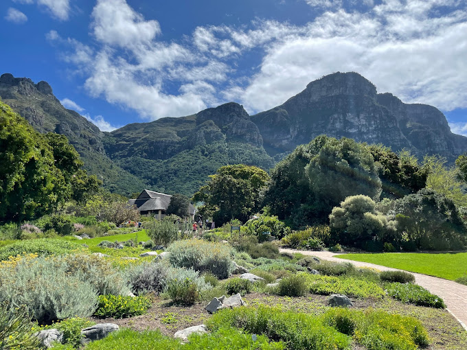 Kirstenbosch National Botanical Garden